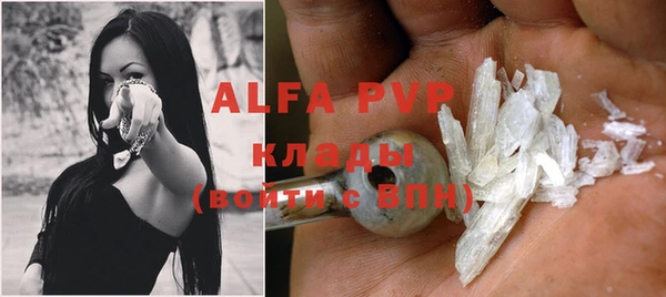 индика Армянск