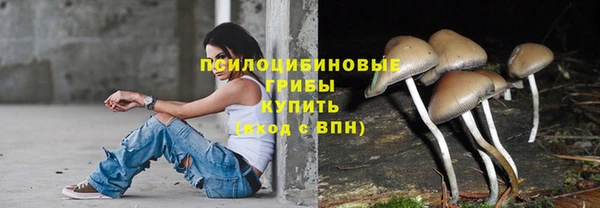 соль ск Михайлов