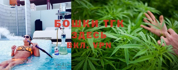 индика Армянск