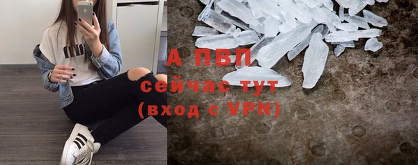 индика Армянск